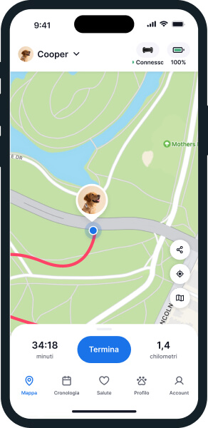 Schermata dell'app del tracker Tractive per cani funzione di tracciamento in tempo reale