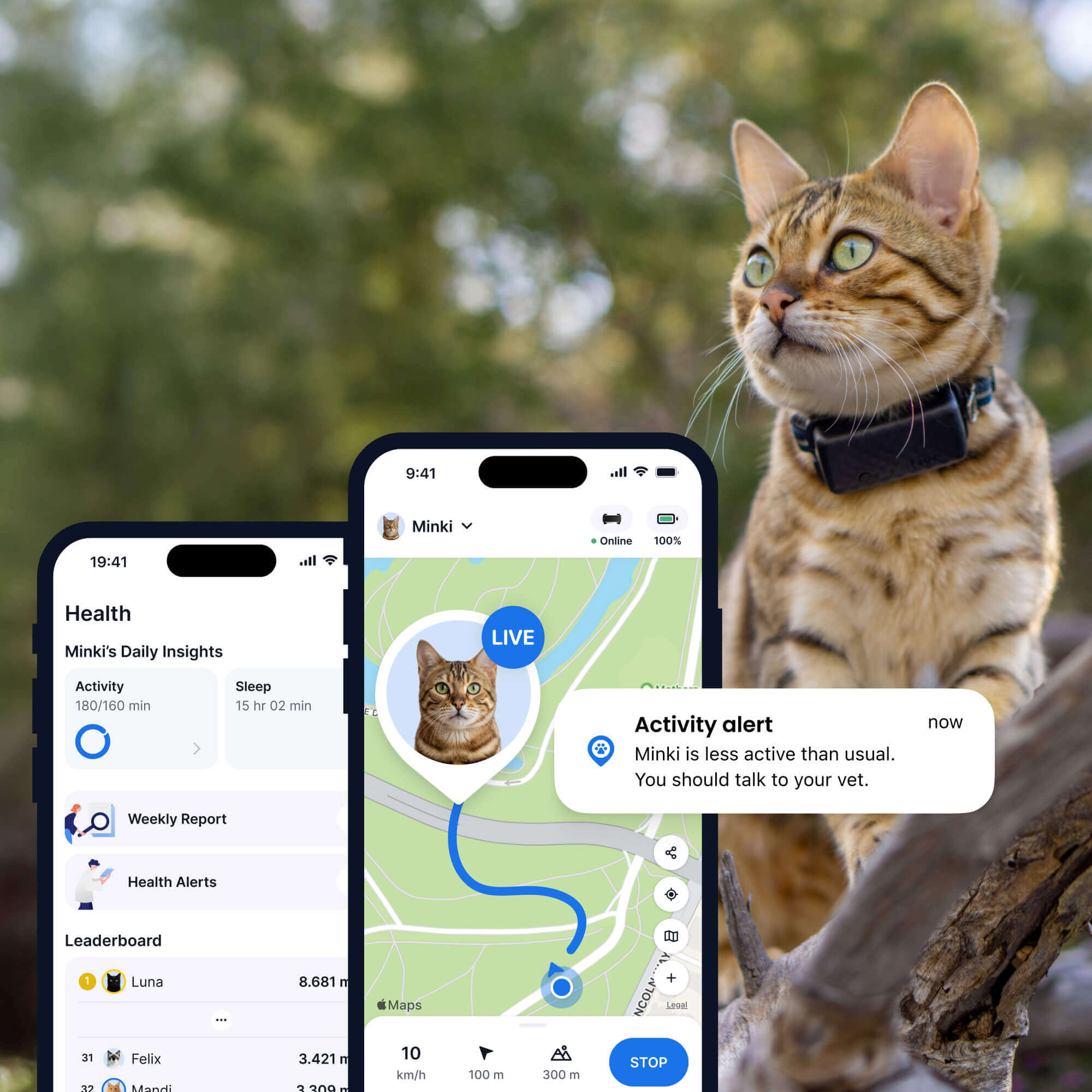 Image of a cat wearing a Tractive GPS and health tracker for cat, forest in background, two app screens in the foreground (health, activity and GPS tracking for cats)