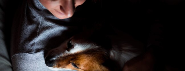 A woman comforting her dog at nighttime