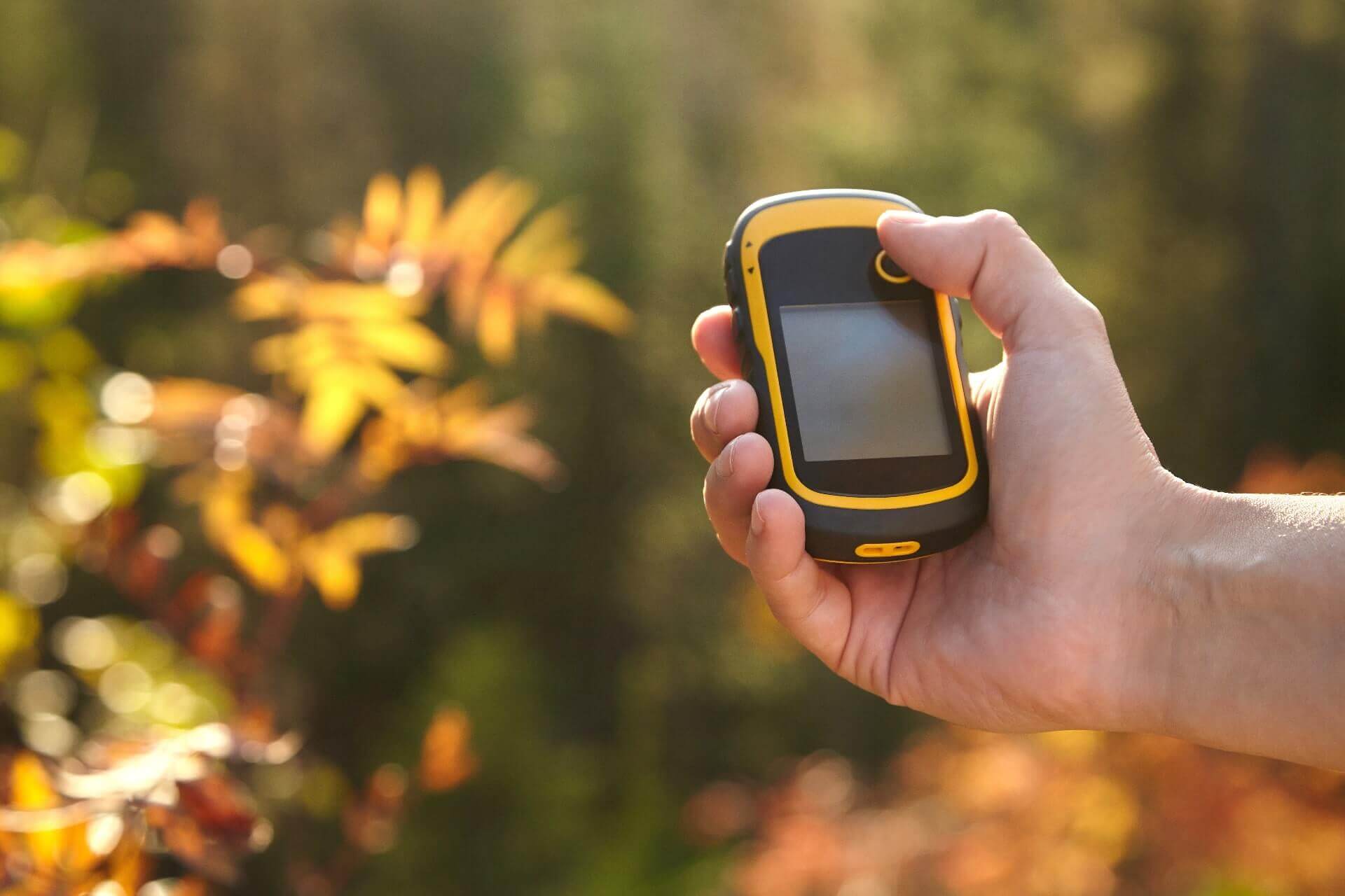 hand holding a gps logger tracker with greenery in the background