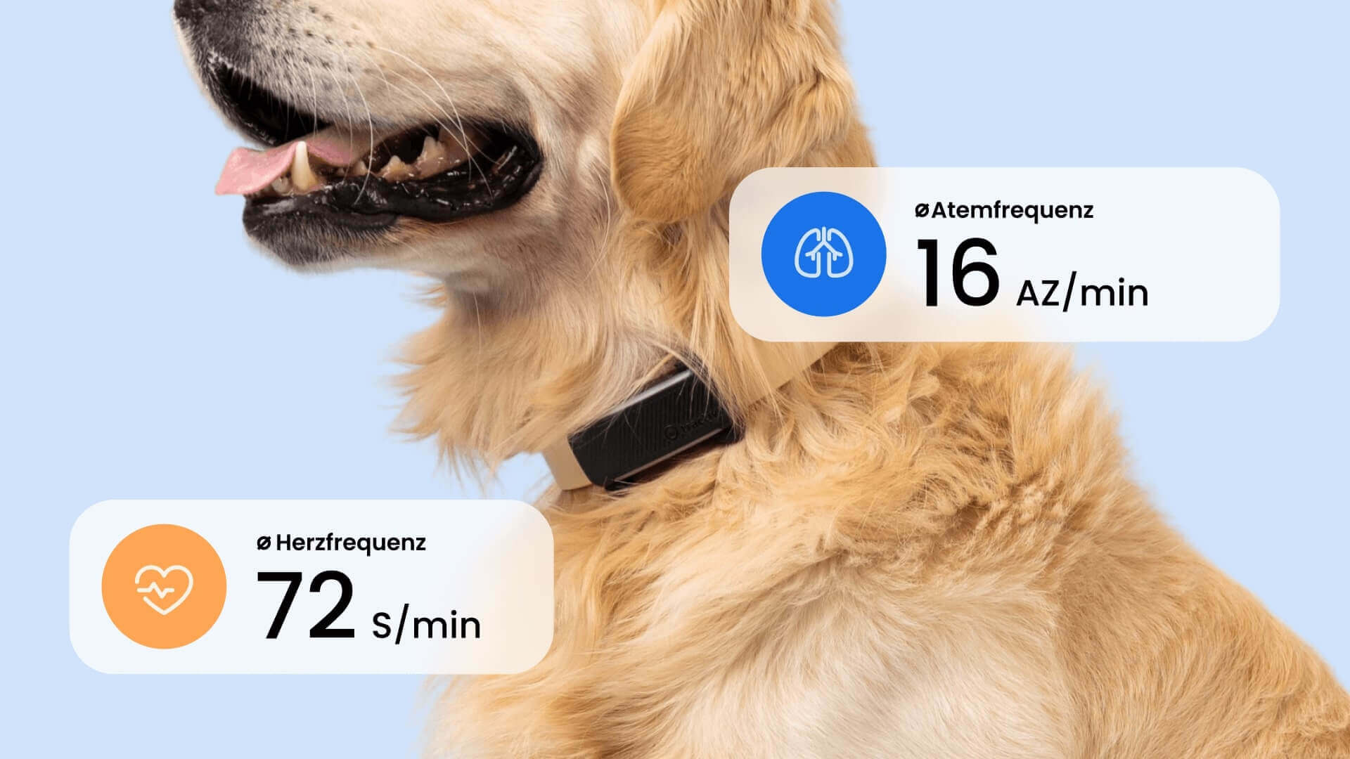 Tractive Dog 6 + Display Atem- und Herzfrequenz