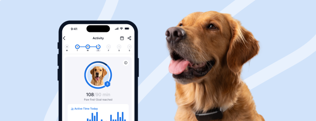 Tractive and Bella+Duke logos and dog with tracker and activity screen