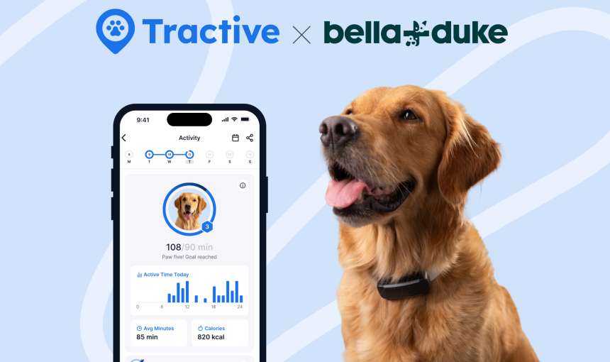 Tractive and Bella+Duke logos and dog with tracker and activity screen