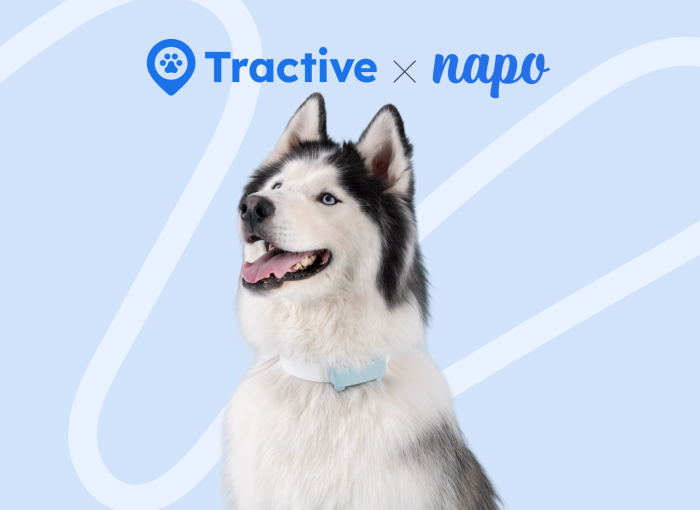 Tractive and Napo Pet Insurance logos and dog with tracker