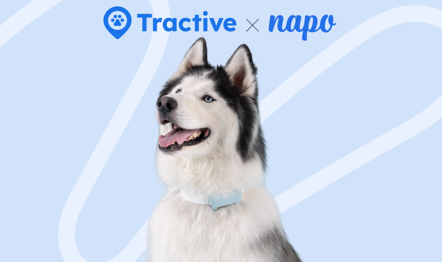 Tractive and Napo Pet Insurance logos and dog with tracker