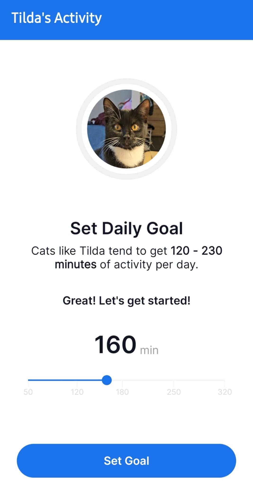Screenshot of the tractive activity monitoring feature for cats - set daily activity goal