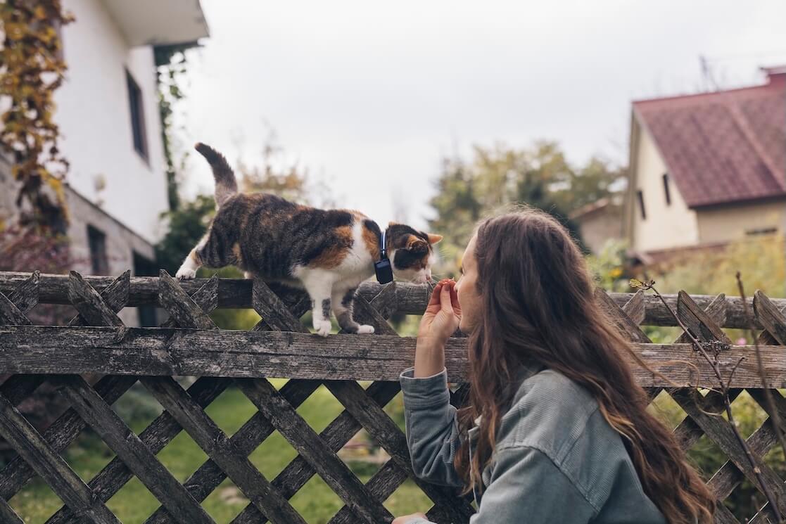 Katze spaziert auf einem Zaun, Besitzerin daneben