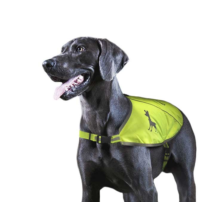 Image of Chaleco de visibilidad Tractive 