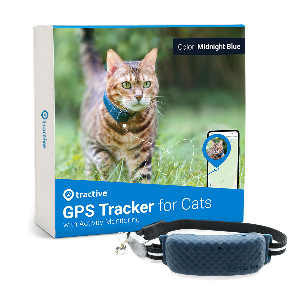 real time pet tracker