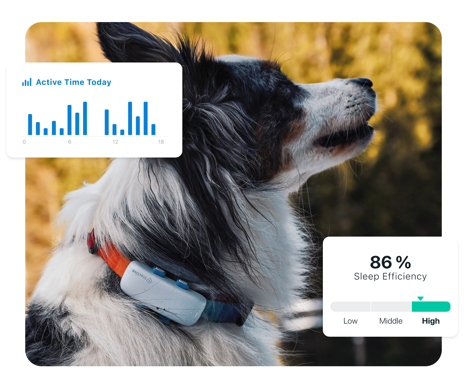 Desktop – Activity