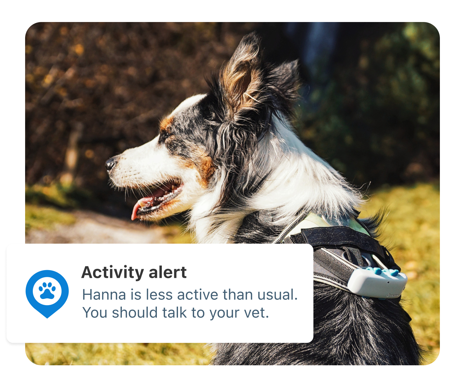 Desktop – Health