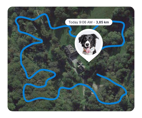Mobile – GPS