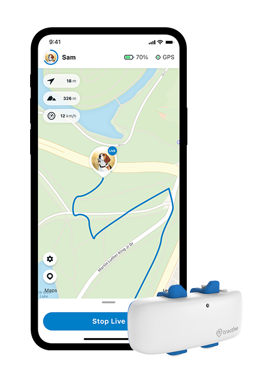 LIVE Tracking con Tractive DOG desde iPhoneX