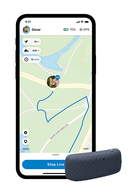 Tractive Gps Tracker For Cats And Dogs With Activity Monitoring Tractive