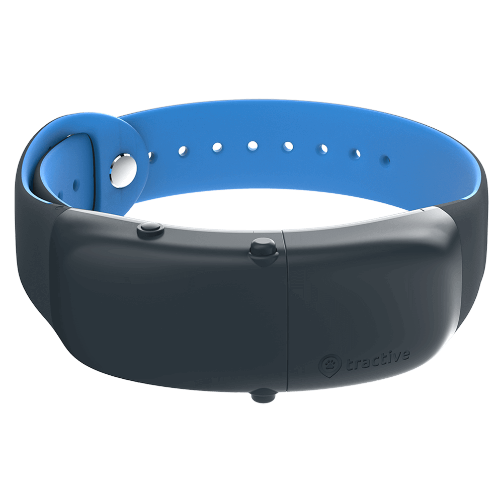 GPS Cat Tracker Smart cat collar available 2019 Tractive